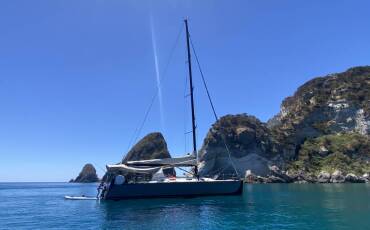 Fast Cruiser 42, Wasabi
