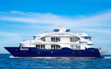 Power Catamaran A, Endemic