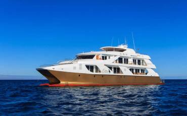 Power Catamaran B, Elite