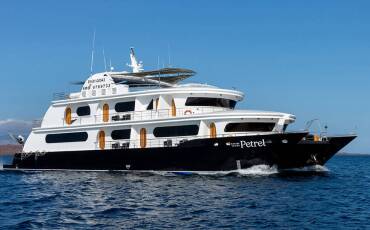Power Catamaran D, Petrel