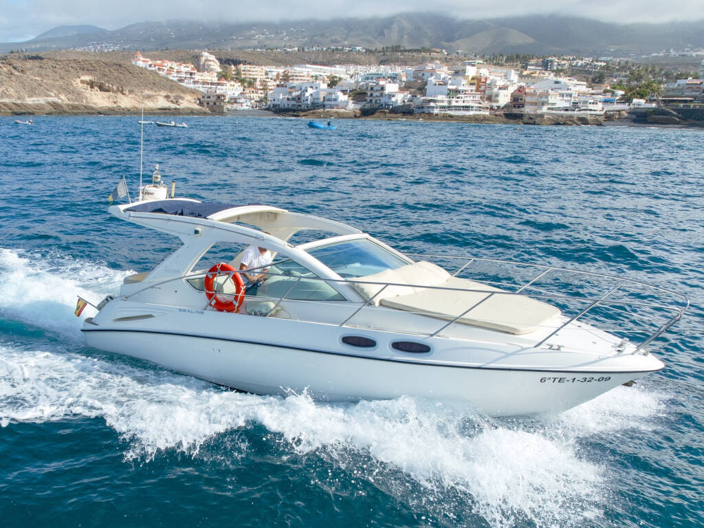 Sealine SC29, Champagne