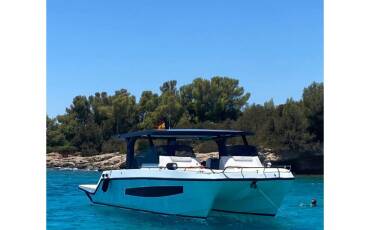 Tesoro T41 Yaloou Cat I